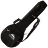 OLYMPUS BZ-120 POLYFOAM Bouzouki Hard Case