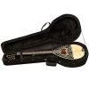 OLYMPUS BZ-120 POLYFOAM Bouzouki Hard Case