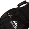 OLYMPUS BZ-120 POLYFOAM Bouzouki Hard Case