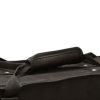 OLYMPUS LC-200 POLYFOAM Double Lyra Hard Case
