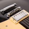 VINTAGE V100BLK Electric Guitar