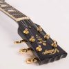 VINTAGE V100PBB Electric Guitar