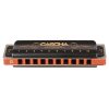 CASCHA HH-2025 Pro Blues Harmonica G