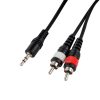 CASCHA HH-2098 3m Cable RCA to Mini Stereo Jack