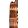 CASCHA HH-2310 Concert Ukulele - Γιουκαλίλι με θήκη