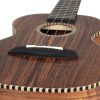 CASCHA HH-2310 Concert Ukulele - Γιουκαλίλι με θήκη