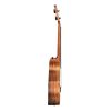 CASCHA HH-2310 Concert Ukulele - Γιουκαλίλι με θήκη