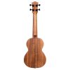 CASCHA HH-2310 Concert Ukulele - Γιουκαλίλι με θήκη