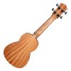 CASCHA HH-2601 Art Series Sketch Soprano Ukulele - Σοπράνο Γιουκαλίλι