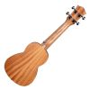 CASCHA HH-2602 Art Series Leafy Soprano Ukulele - Σοπράνο Γιουκαλίλι