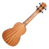 CASCHA HH-2600 Art Series Urban Soprano Ukulele - Σοπράνο Γιουκαλίλι