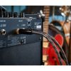 BOSS Dual Cube LX Guitar Amplifier