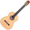 CASCHA CGC-200 Κλασική Κιθάρα 4/4 με θήκη