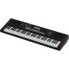 ROLAND E-X10 Portable Keyboard Set