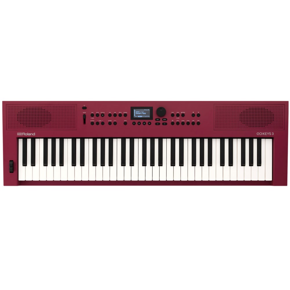 ROLAND GOKEYS 3-RD Arranger Αρμόνιο