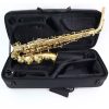 TREVOR JAMES 3730G The Horn Alto Saxophone
