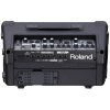 ROLAND Cube Street EX Mobile Amplifier