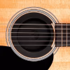 DADDARIO PW-SH-01 Feedback Buster